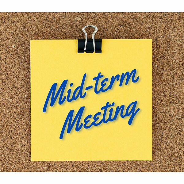 Mid-term Meeting